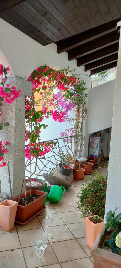 Alberto Apartment Olbia